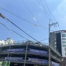 [대전]성심당에서 요거트롤이랑 생귤롤 구매한 후기 (망고롤 품절..)
