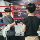 브레인복싱 이미지