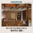 애월돌집 | 아이랑 제주 돌집 감성숙소 클라우드 애월