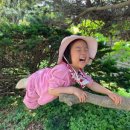 나무와새어린이집 이미지