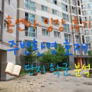 서울고은초등학교 | 홍제센트럴아이파크 임장 무악재 신축 단지 분위기 주변환경 호재 정리