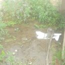 장탄1리 마을회관 이미지