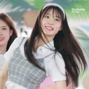 조아(ZOA) 이미지