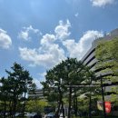 경주 켄싱턴 리조트 / 코코몽 키즈룸 / 2박 3일 내돈내산 후기
