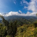 비즈트랜스 외국어번역 행정사사무소 이미지