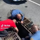 오리와사람들 이미지