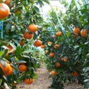 청구농자재 이미지