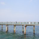 평해목장 이미지