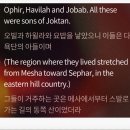 하윌라(Havilah) 이미지