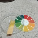 신덴트
