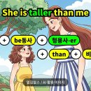톨리스트(TALLEST)