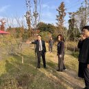 모아미래도 이미지