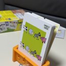 펀토이즈 | 5살 보드게임 뭐하지? 유니콘 파티부터 카미 카멜레온까지