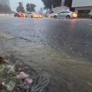 양재천로 이미지