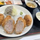 백돈 이미지