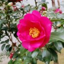 용현무역 이미지