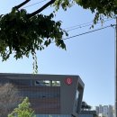 세븐일레븐 오산중앙점 | 롯데인재개발원 오산캠퍼스 롯데그룹 연수 후기