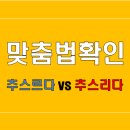 추스리다 vs 추스르다 이미지