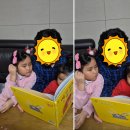 숲이야기 | 아람북스 아람 리리의이야기숲 리리의숲 이야기 후기 가격 구성 판다북