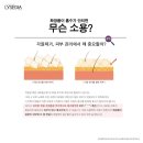 라운지125 이미지