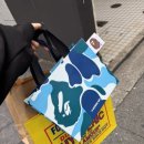 당고베이프