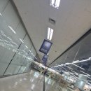 참플러스 덴탈 | [용산] 창고형 약국 - 메디킹덤 (주차, 영양제 가격, 추천템)