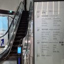 국립서울현충원 임시정부화장실 | 국립항공박물관 기획전 _ Cleared for Take off 관람후기