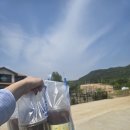 빽다방서산해미점 | [서산 해미읍성 카페] 빽다방 서산해미점 – 2층 넓은 공간 (주차/메뉴/와이파이)