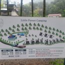 포레스트 캠핑장 이미지