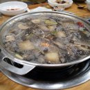 김가네낙지 이미지