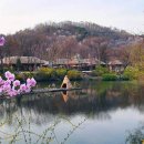 향-고향의 봄 이미지