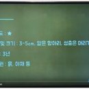 동산내과 네이버블로그
