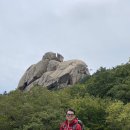 서강대학교 이미지