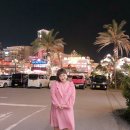 (주)쏨니아 네이버블로그