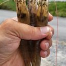 신한농장 이미지