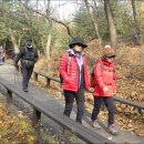 구릉산자락길 이미지