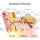 화가한의원 이미지