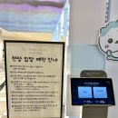 키메코 | 부산 치이카와베이비 먼작귀 팝업 후기 - 첫 입덕 후 굿즈 구매..!!