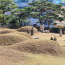 영신군 이이묘 이미지