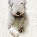 임프로동물병원 이미지