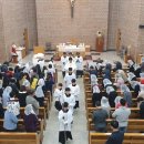 모심-2019 이미지