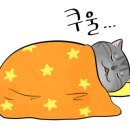 멍텅구리 칼국수 이미지