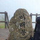 폭스 | 지리산 바래봉 철쭉 축제 등산코스 실제 경험 후기