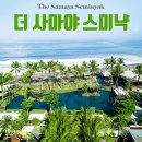 G4781 네이버블로그