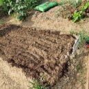 도농초등학교 이미지