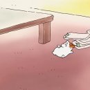 경주중앙시장 이미지