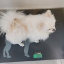 해랑동물병원 이미지