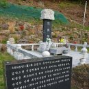 대통령 경호를 위해 “투입된 특전사 47명이 전사한” 충격적인 사건 이미지
