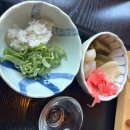 마산형제 | 마산 맛집 형제횟집 후기✨