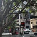 뉴동그라미투어 | [시드니 여행 2일차] Theeca, featherdale 동물원, 시드니야경, metro울월스 쇼핑~